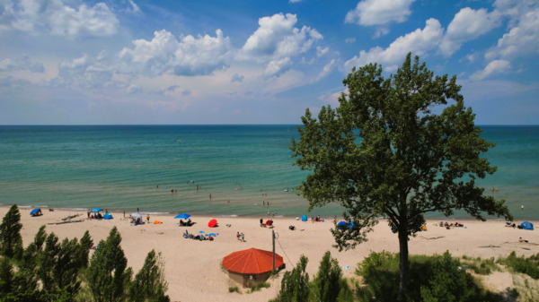 Oakwood Resort