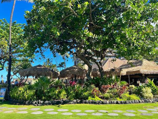 Hula Grill Kaanapali