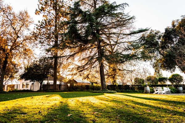 Durst Winery & Estate