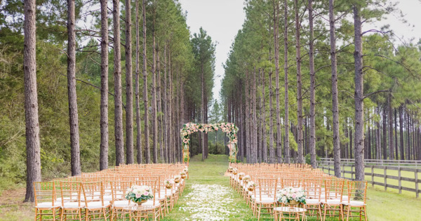 Loblolly Farm