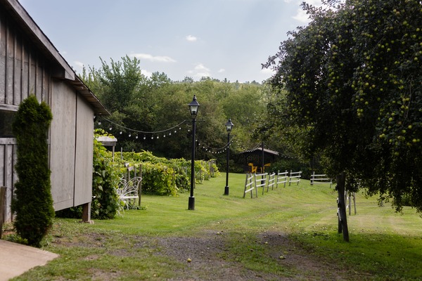 Beaver Creek Vineyard