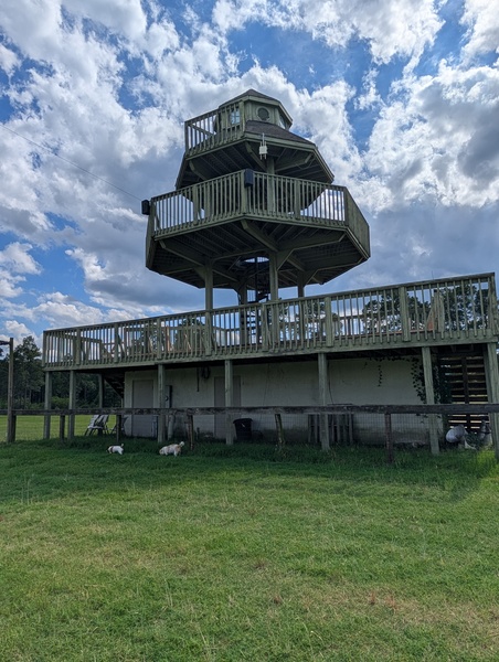 One of a kind wedding at the Carolina Horse Park