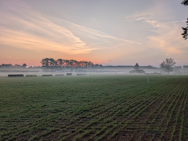 One of a kind wedding at the Carolina Horse Park