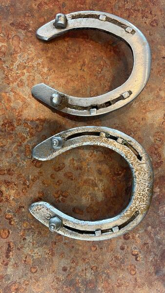 One of a kind wedding at the Carolina Horse Park