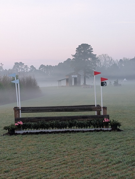 One of a kind wedding at the Carolina Horse Park