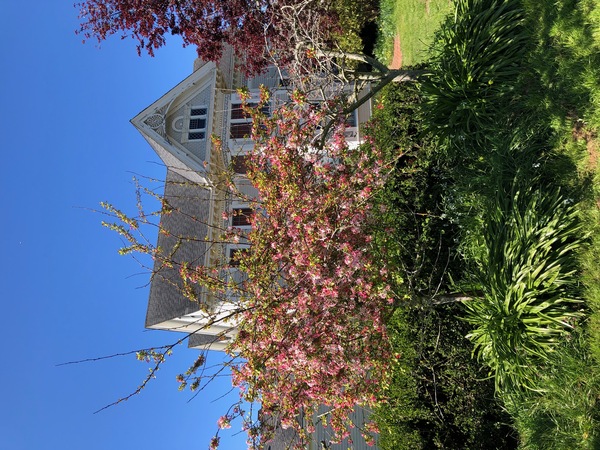 Heirloom Rose Weddings & Events