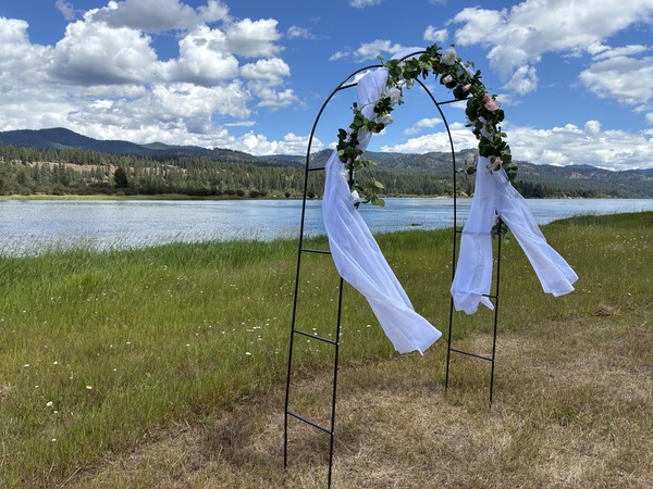 Meadow by the River