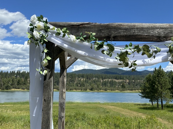Meadow by the River