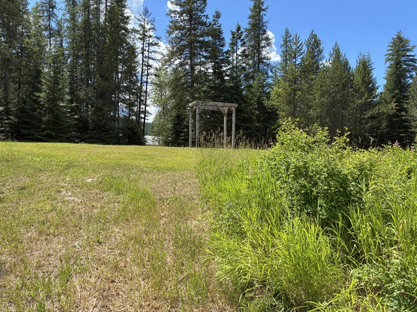 Meadow by the River