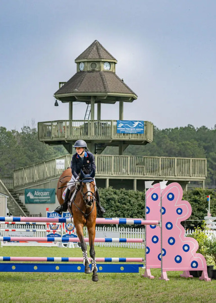 One of a Kind Wedding at the Carolina Horse Park