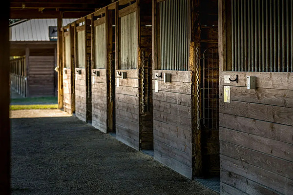 One of a Kind Wedding at the Carolina Horse Park