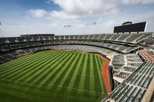 Sports Field