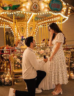 The Carousel Museum