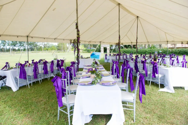 Wildwood Vineyard and Events