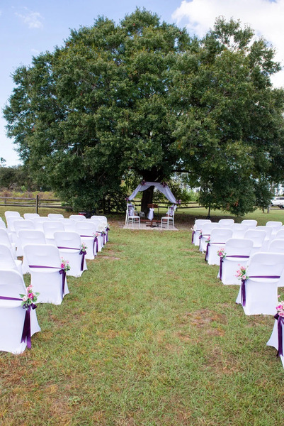 Wildwood Vineyard and Events