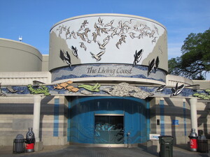 The Living Coast