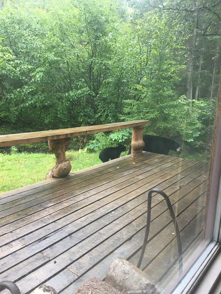 Hope Alaska's Bear Creek Lodge