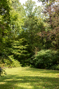 The Lawn