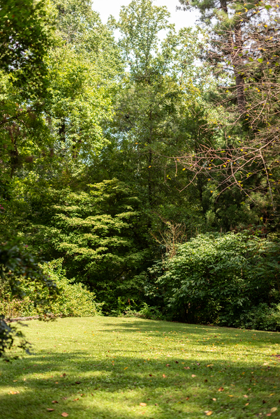Woodlands Garden