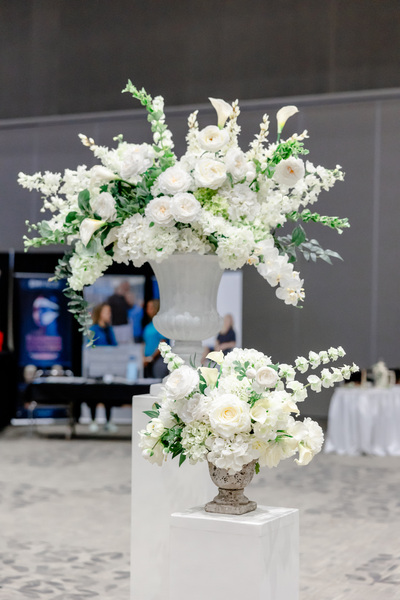 Meridian Decor