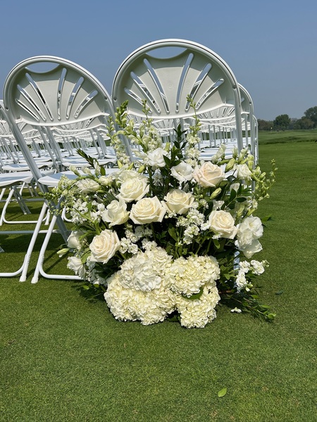 Meridian Decor
