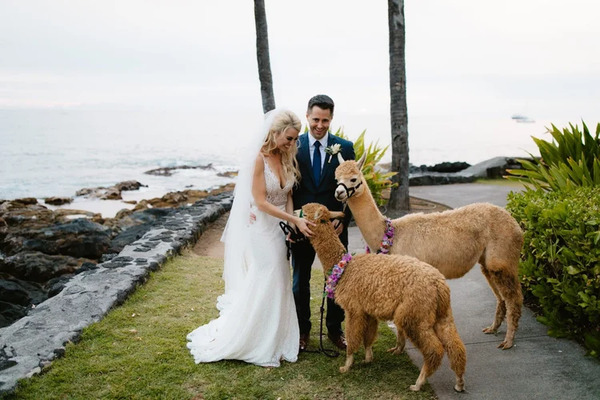 Papa Kona Events