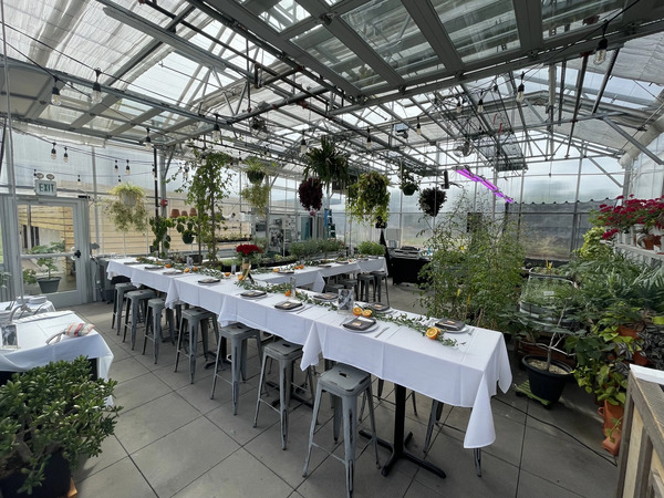 The Feedery at Grow + Gather