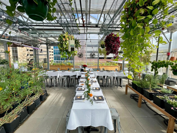The Feedery at Grow + Gather