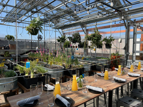 The Feedery at Grow + Gather