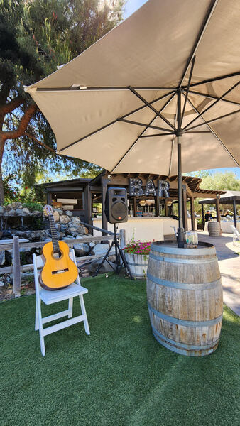 Orange County Wedding Guitarist