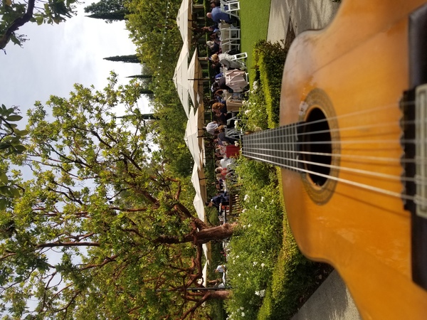 Orange County Wedding Guitarist