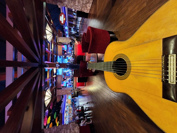San Diego live acoustic Guitarist
