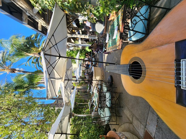 San Diego live acoustic Guitarist