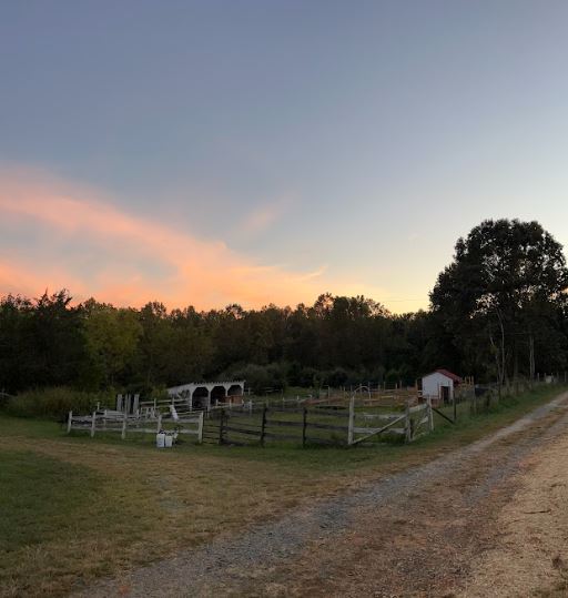 Forest Farms VA