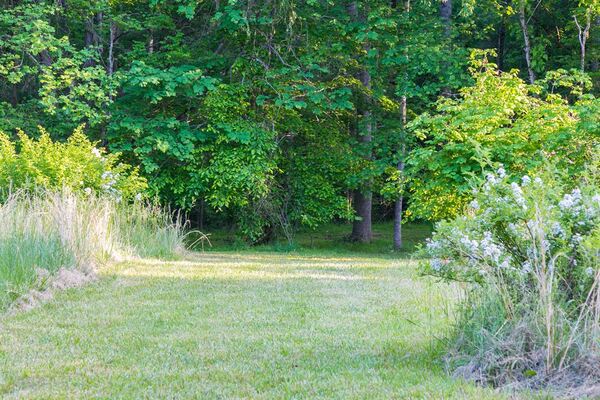 Forest Farms VA