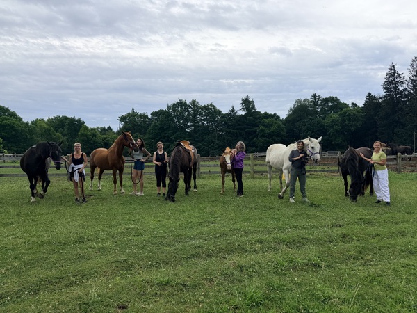 Maple Farm Adventure