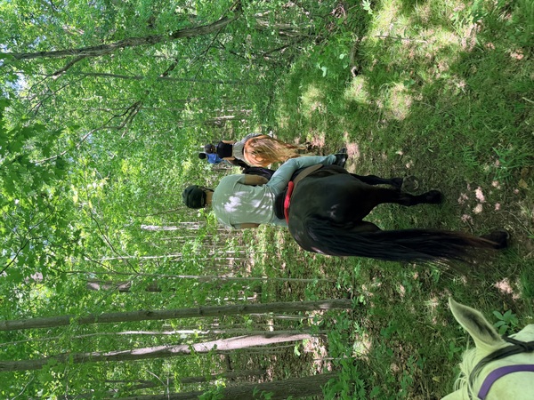 Maple Farm Adventure