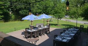 Deck & Patio