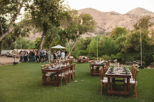 Ponderosa Lawn