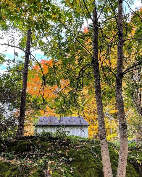 Silverbrook Manor
