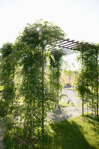Nagelkirk Gardens