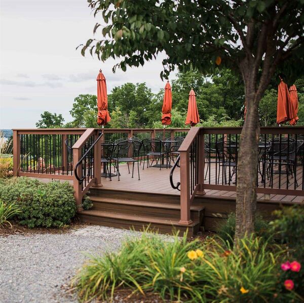 Anyela's Vineyards