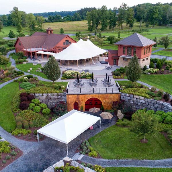 Anyela's Vineyards