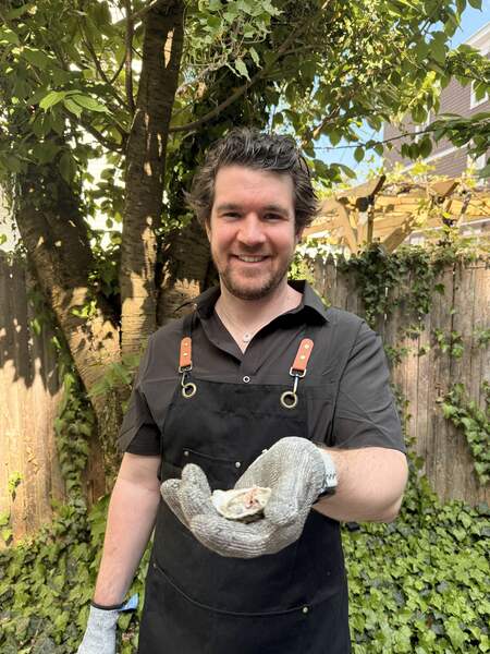 Shuck Yeah Oysters