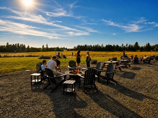 Queen Orchard Farm and Cidery