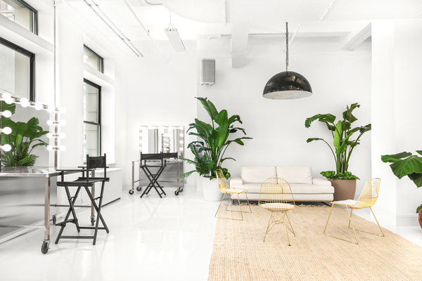 Daylight Studio