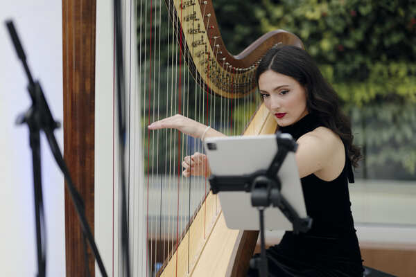 Irina Harpist