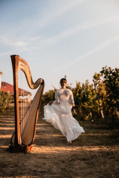 Irina Harpist