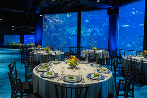 Explorer's Reef