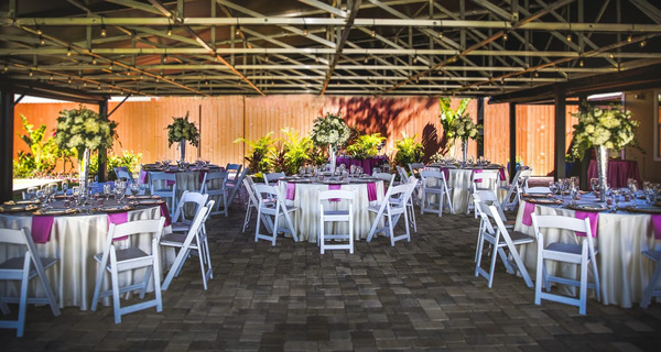 Celebration Gardens